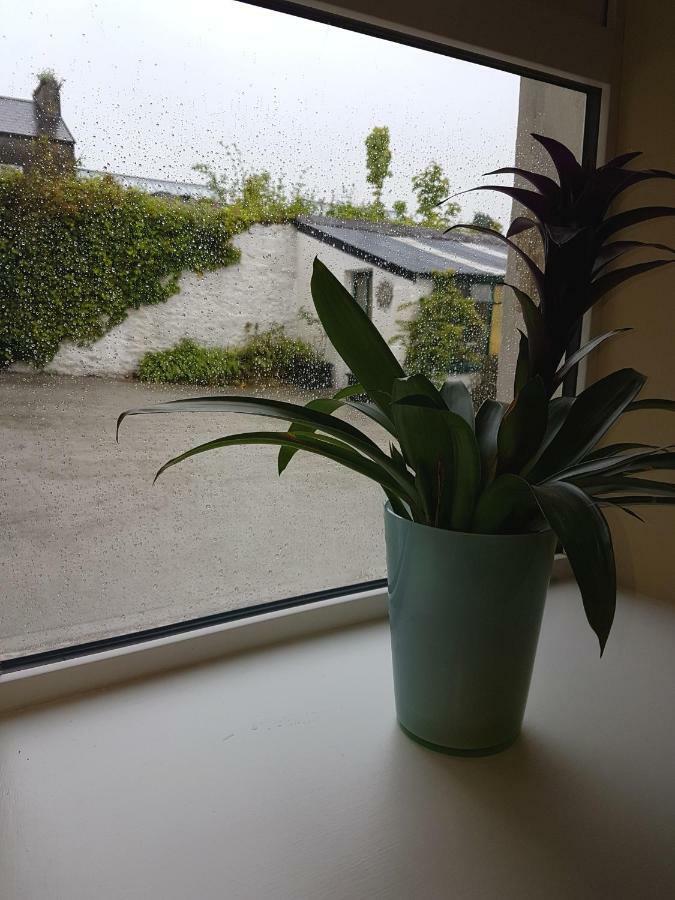 Glenbower House Appartement Cork Buitenkant foto