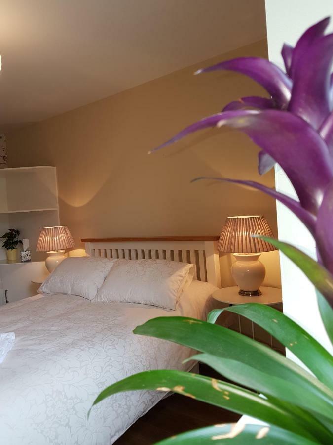 Glenbower House Appartement Cork Buitenkant foto