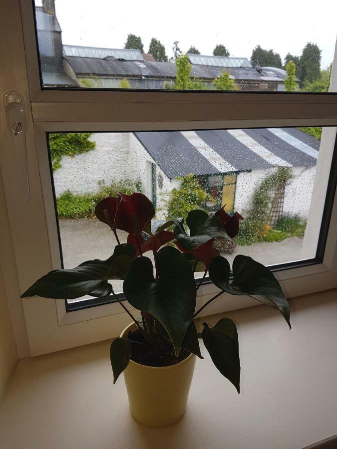 Glenbower House Appartement Cork Buitenkant foto